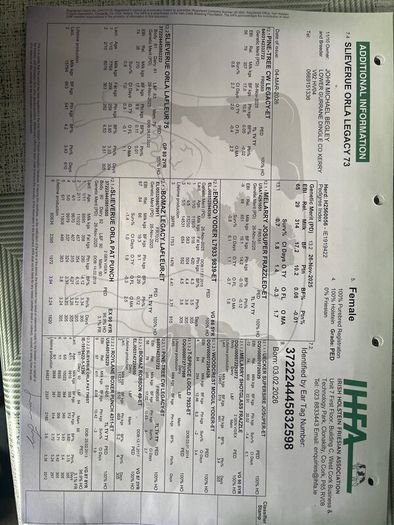 Six  Pedigree Registered Holstein Friesian Calves