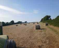 2026 round bales of hay for sale
