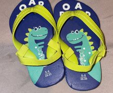 Dinosaur flip flops