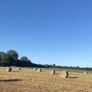 Hay Bales Image 2