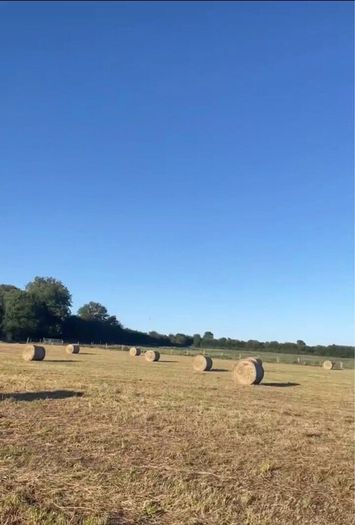 Hay Bales