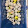 golf balls Image 2