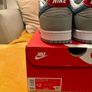 Nike Dunk Low QS New Image 4