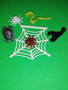 Spiders, Web, Cobra, Scorpion, Beetle