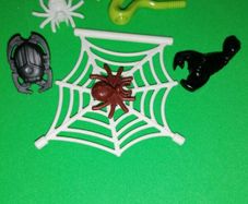 Spiders, Web, Cobra, Scorpion, Beetle