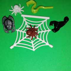 Spiders, Web, Cobra, Scorpion, Beetle
