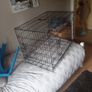 dog kennel Image 2