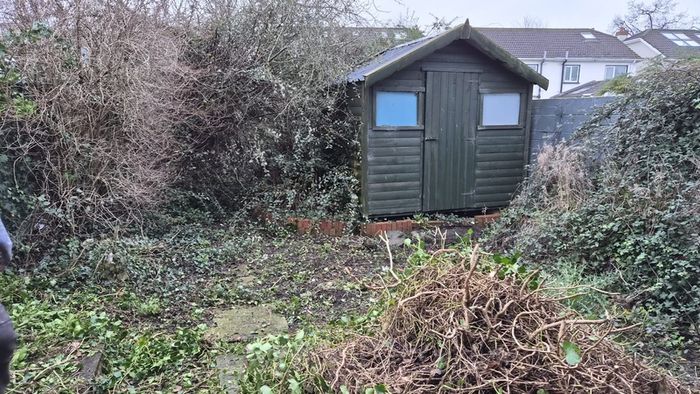 cleaning home inside/outside