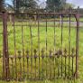 Pair of victorian wrought iron gates Image 3