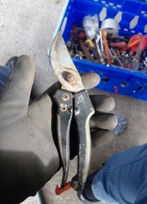 Secateurs