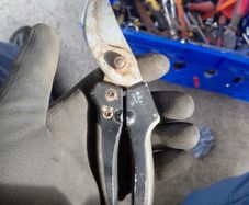 Secateurs