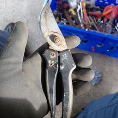 Secateurs