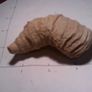fossils Image 3