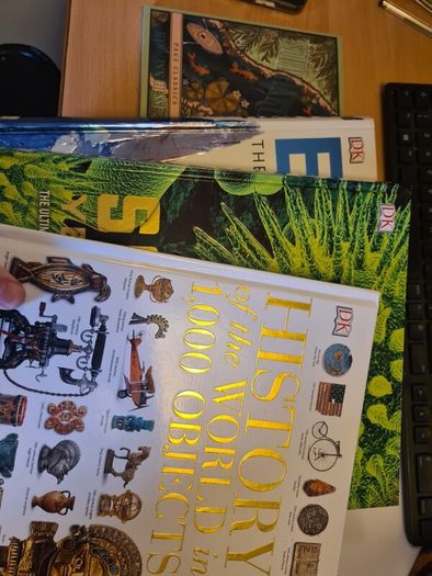 3 DK books Dorling Kindersley