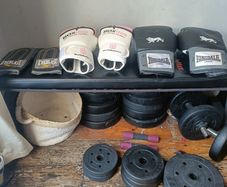 weights/dumbbells/bench