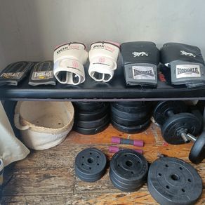 weights/dumbbells/bench