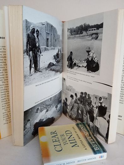Ocean of Fire: Through the Garden of Allah to Timbuktu by Robert Christopher with Erik James Martin (GT344)