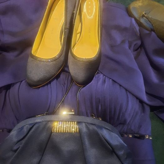 Occasional dress  shoes bag