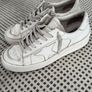 Golden goose Image 2
