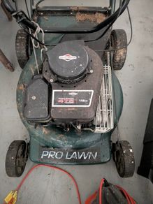 petrol lawn