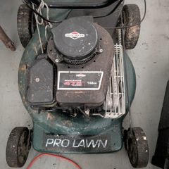 petrol lawn