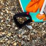 Surf Board Image 3