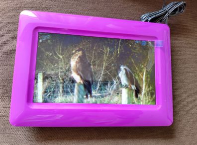 Digital photo frame