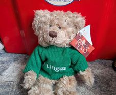 airline bears eur 10 each