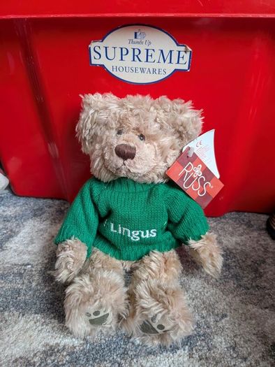airline bears eur 10 each