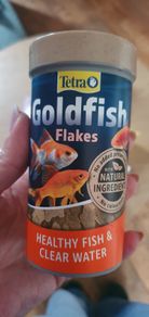 goldfish food