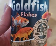 goldfish food