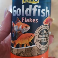 goldfish food