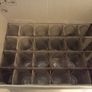 24 glasses Image 2