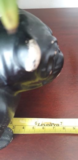 PLANTER - Pot - Holder - Vintage - Bulldog