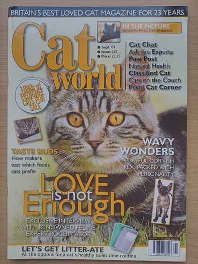 Cat World