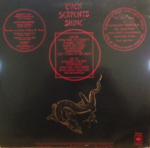 The Only Ones  Even Serpents Shine