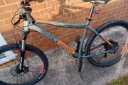 adults mountain bike