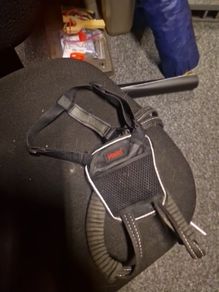 dog harness