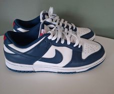 nike runners dunk low size 7.5 uk