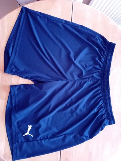 Puma Navy Shorts XL