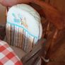 Booster Seat Image 7