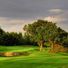 Golfbuddy04