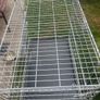 dog cage Image 6