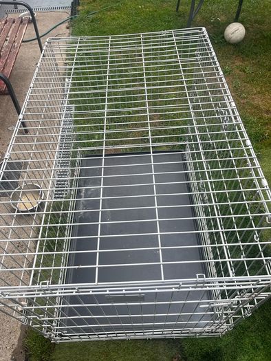 dog cage