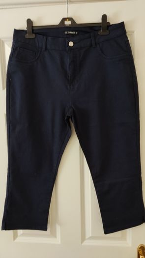 Dunnes Navy Three Quarter Lengths size 16
