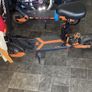 e scooter Image 3