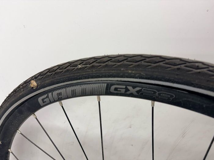 Giant Fastroad E+2 Electric Bike