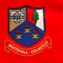 Whitehall-Colmcille GAA Official O'Neills Pool Team Jersey (Adult XL) FREE POST Image 3