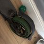 scooter Image 2