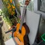 Yamaha C40 with cover Image 2